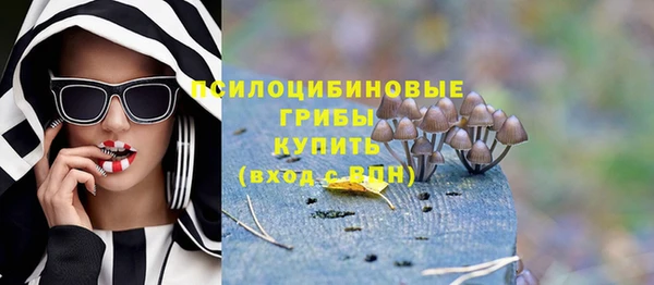 стаф Россошь