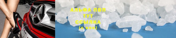 стаф Россошь