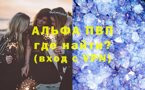 стаф Россошь