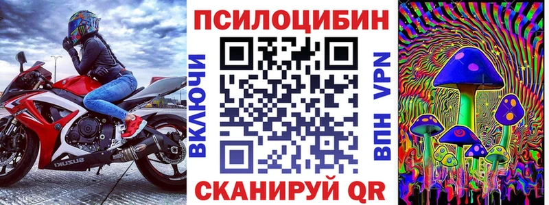 цены наркотик  Рузаевка  Псилоцибиновые грибы Psilocybine cubensis 