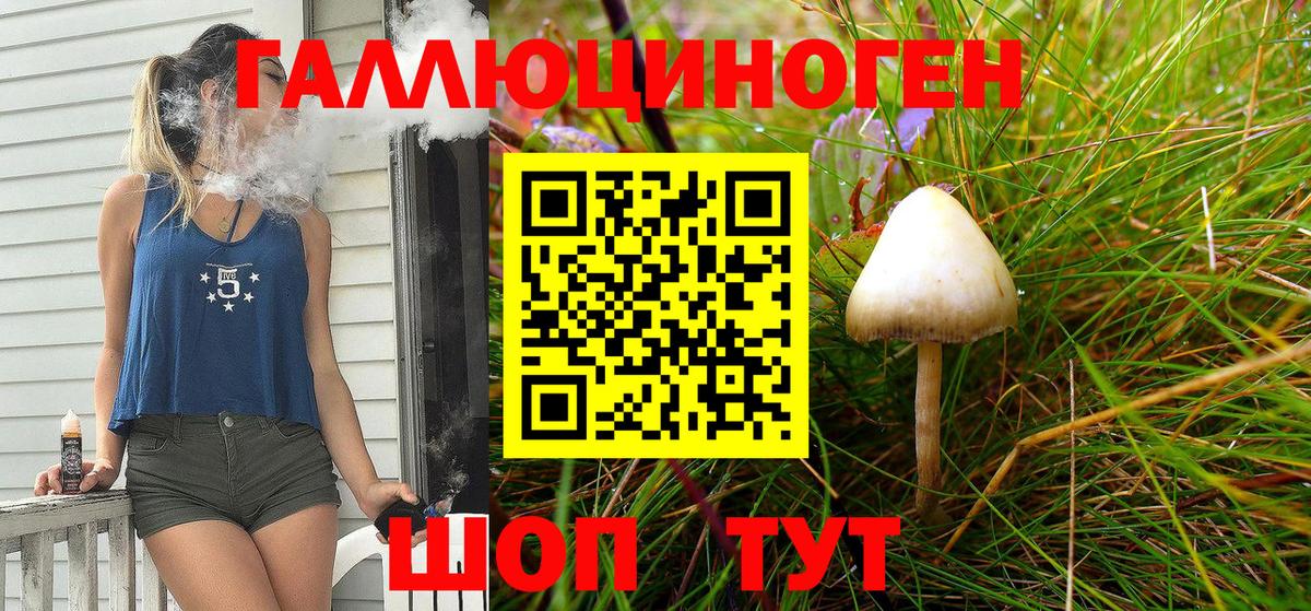 Псилоцибиновые грибы MAGIC MUSHROOMS  Вход с VPN  Рузаевка 